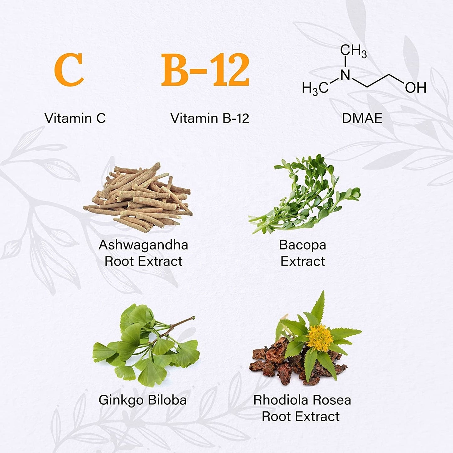 Natural Nootropic Dietary Supplement