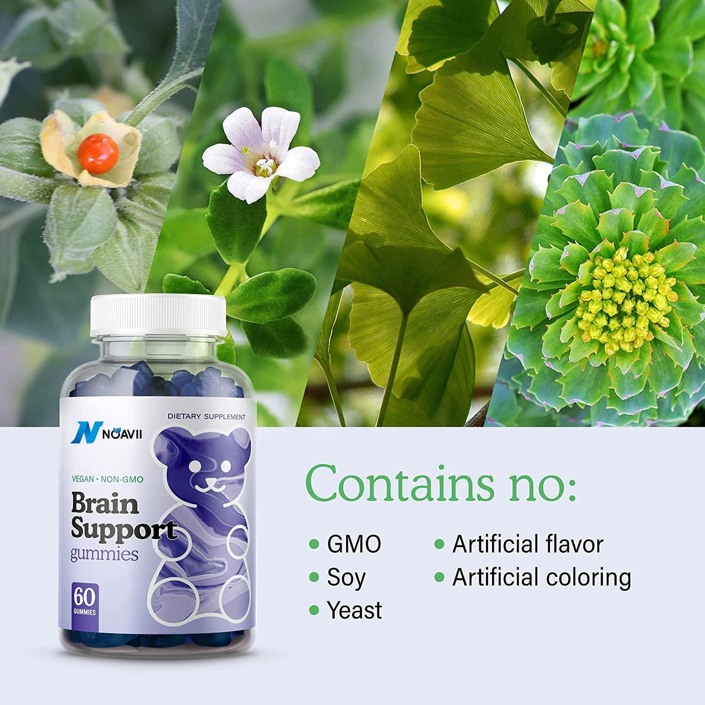 Natural Nootropic Dietary Supplement