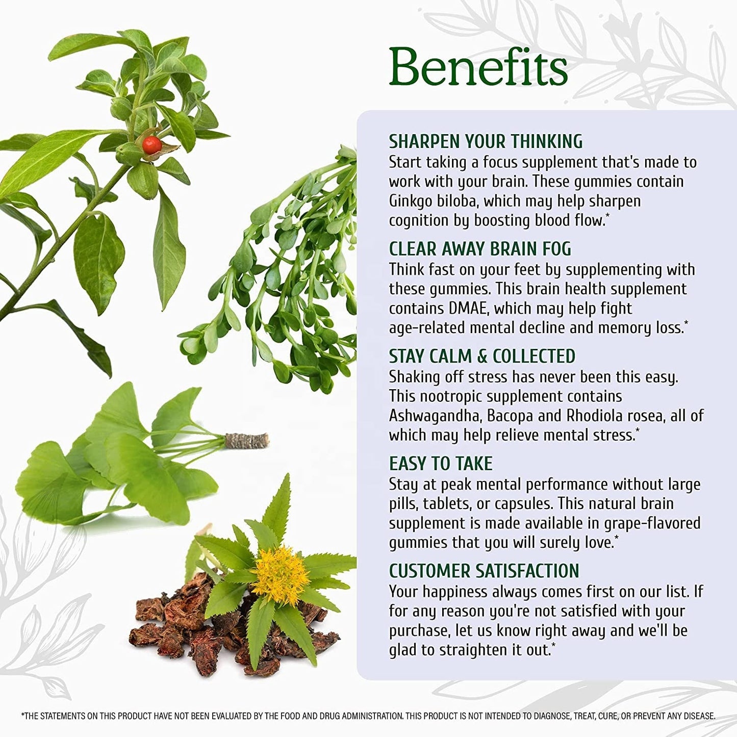 Natural Nootropic Dietary Supplement